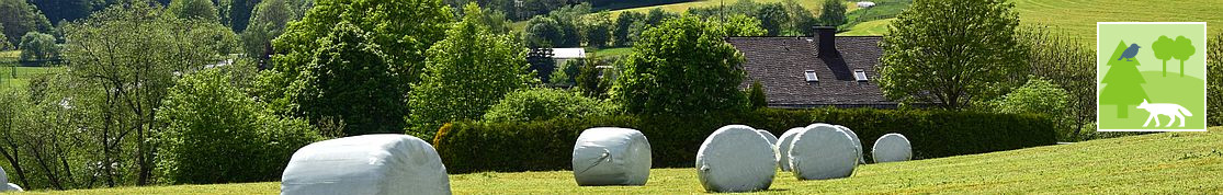 Themenbild Natur und Landschaft, Wiese mit Heurollen, Foto: C. Brinkmann, LANUV NRW