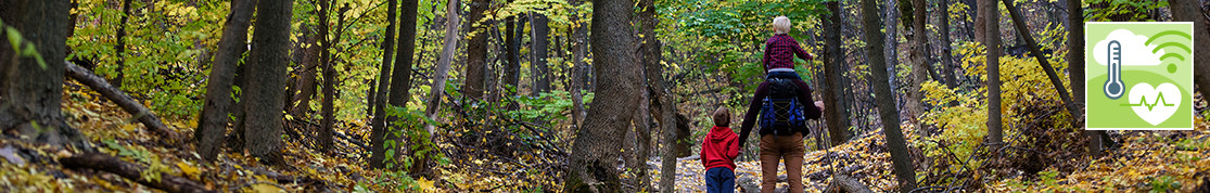 Titelbild Umwelt und Gesundheit, Waldspaziergang, Foto: somemeans – stock.adobe.com
